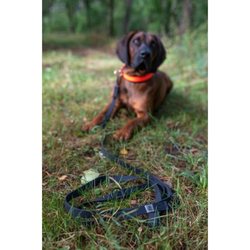 farm-land-hundebedarf-umh-ngeleine-biothane-orange-2-4-m image 2
