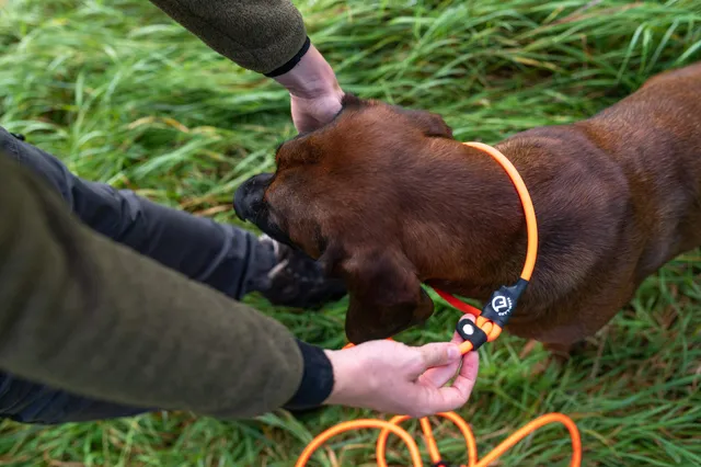 farm-land-hundebedarf-hundeleine-lautlos-orange-rund-2-8-m image 1