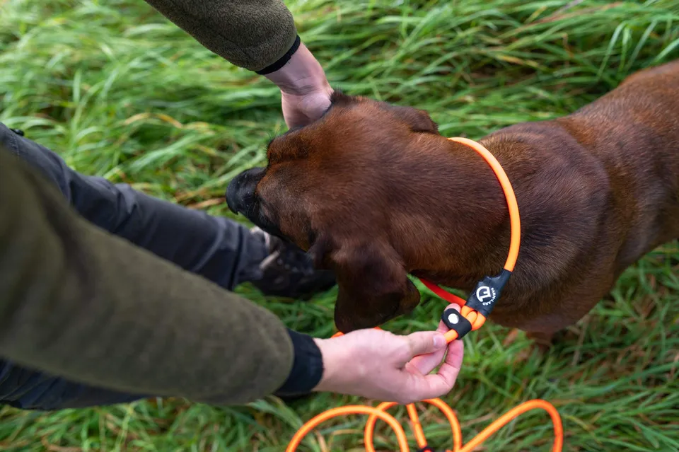 farm-land-hundebedarf-hundeleine-lautlos-orange-rund-2-8-m image 1