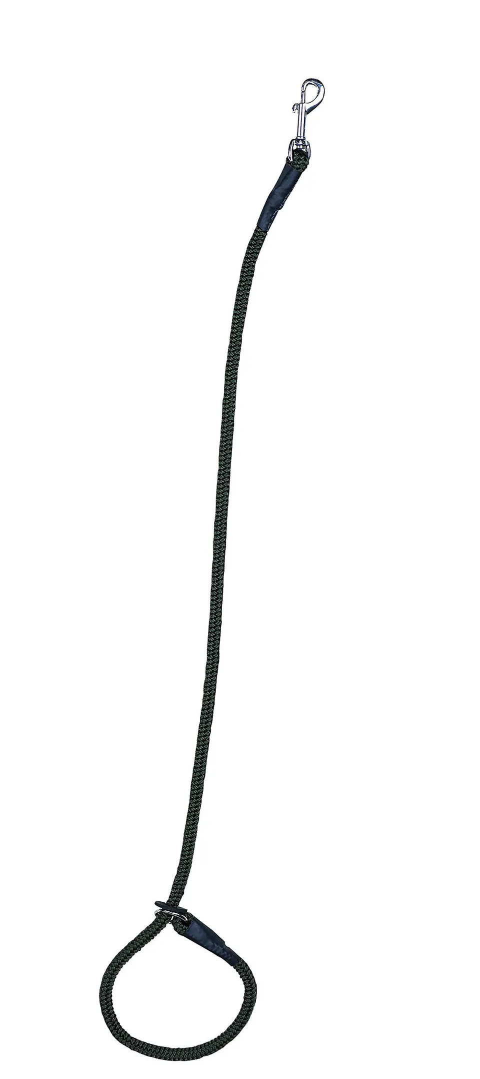 farm-land-hundebedarf-beileine-pirsch-hundeleine-oliv-nylon image 1