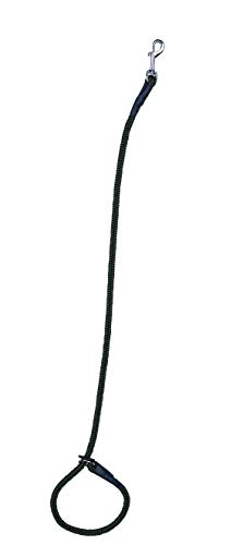 farm-land-hundebedarf-beileine-pirsch-hundeleine-oliv-nylon image 2