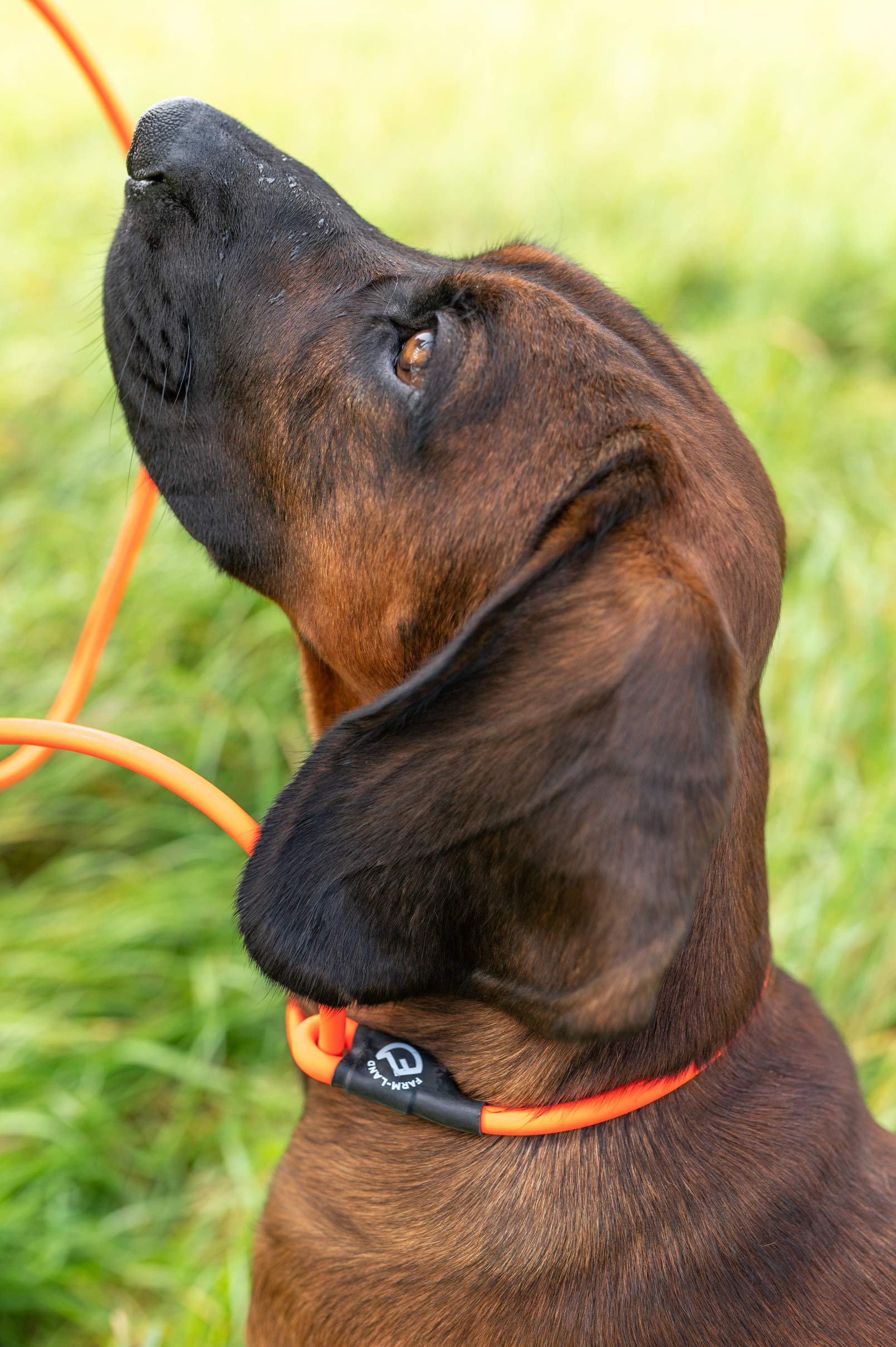 farm-land-hundebedarf-hundeleine-lautlos-orange-rund-2-8-m image 2