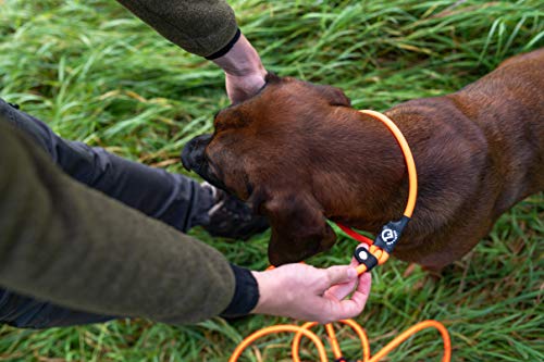 farm-land-hundebedarf-hundeleine-lautlos-orange-rund-2-8-m image 3