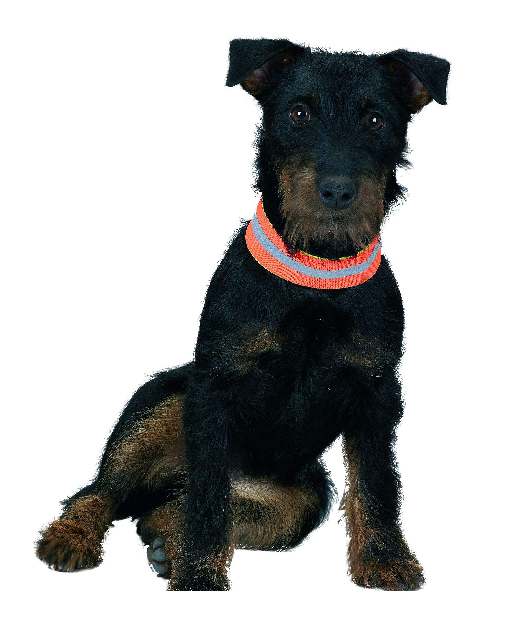 farm-land-hundebedarf-signalband-38-cm-orange-gelb-reflektierend image 5