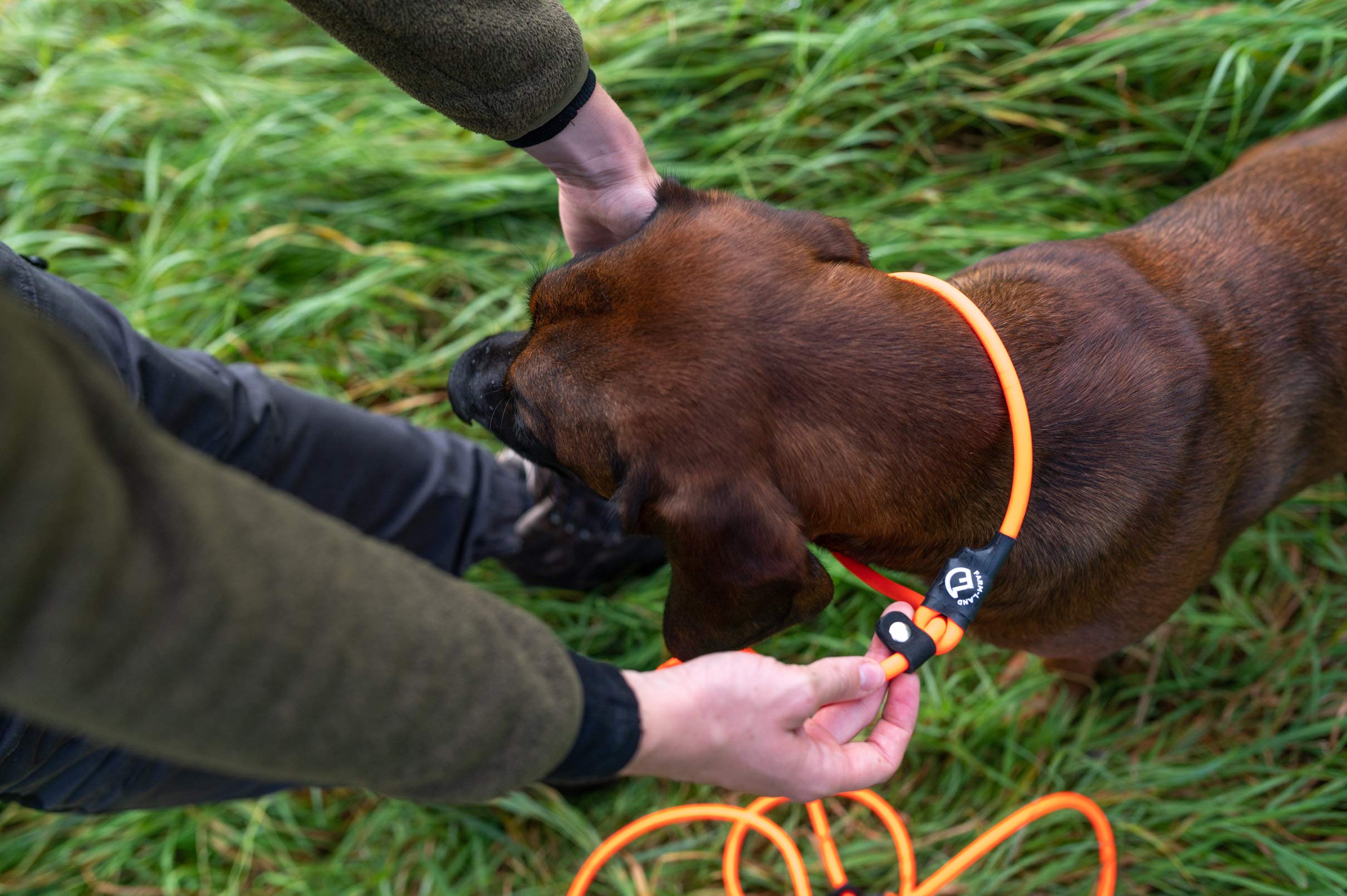 farm-land-hundebedarf-hundeleine-lautlos-orange-rund-2-8-m image 1