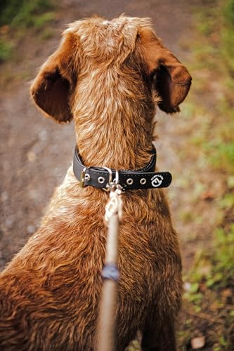 farm-land-hundebedarf-comfort-hundehalsband-schwarz-50-cm-gepolstert image 6