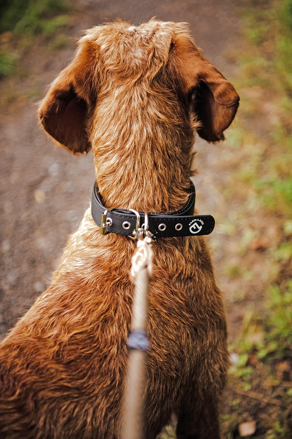 farm-land-hundebedarf-comfort-hundehalsband-schwarz-50-cm-gepolstert image 3